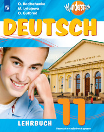 Немецкий язык 11 класс.